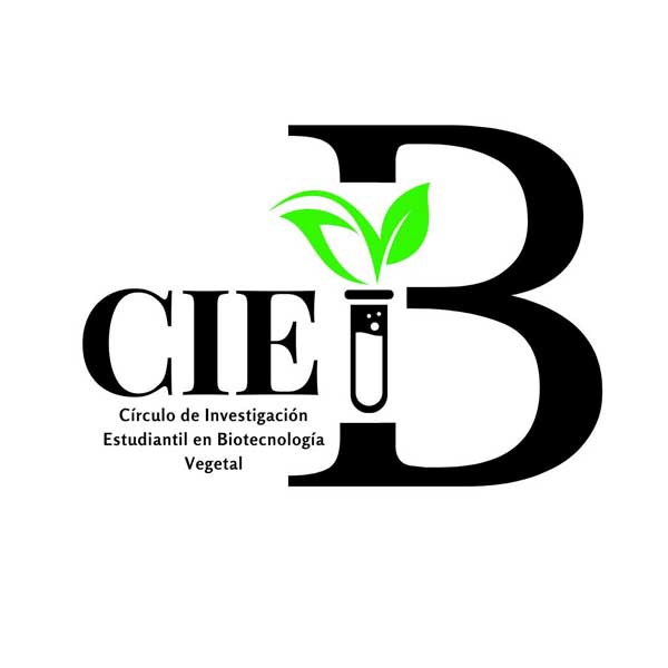 CIEB