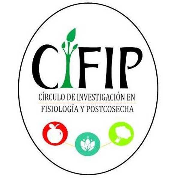 CIFIP