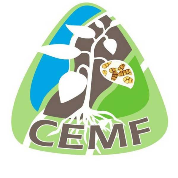 CEMF