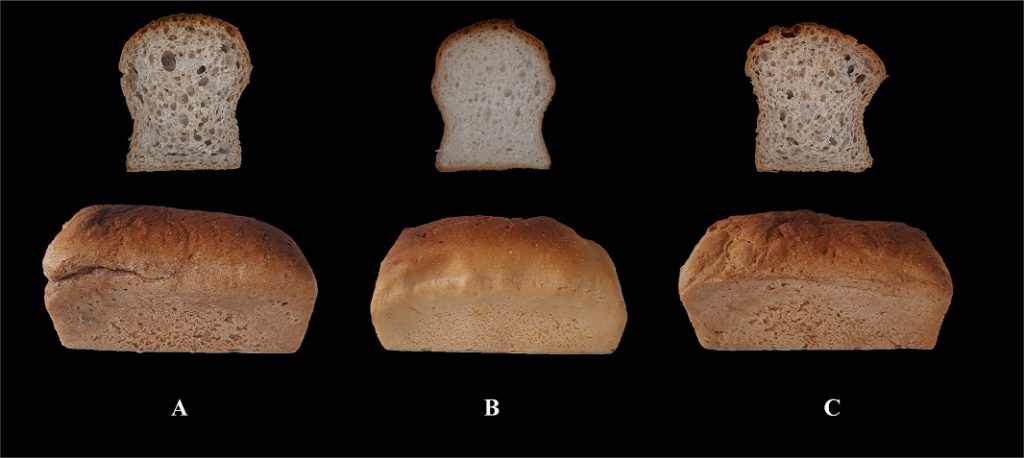 Panes libres de gluten