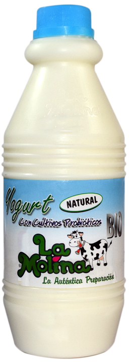 Natural bio yogurt